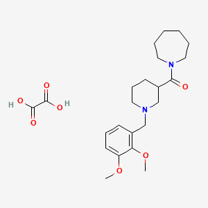 1-{[1-(2,3-dimethoxybenzyl)-3-piperidinyl]carbonyl}azepane oxalate