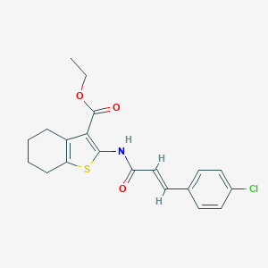 molecular formula C20H20ClNO3S B403023 Ethyl 2-{[3-(4-chlorophenyl)acryloyl]amino}-4,5,6,7-tetrahydro-1-benzothiophene-3-carboxylate 