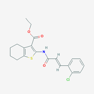 molecular formula C20H20ClNO3S B403024 Ethyl 2-{[3-(2-chlorophenyl)acryloyl]amino}-4,5,6,7-tetrahydro-1-benzothiophene-3-carboxylate 