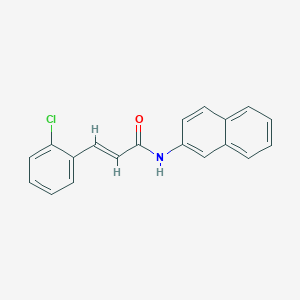 molecular formula C19H14ClNO B403055 3-(2-chlorophenyl)-N-(2-naphthyl)acrylamide 