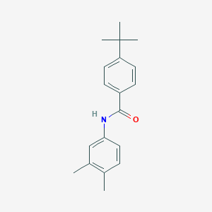 molecular formula C19H23NO B403075 4-tert-butyl-N-(3,4-dimethylphenyl)benzamide 