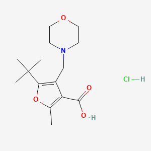 5-Tert-butyl-2-methyl-4-morpholin-4-ylmethyl-furan-3-carboxylic acid hydrochloride