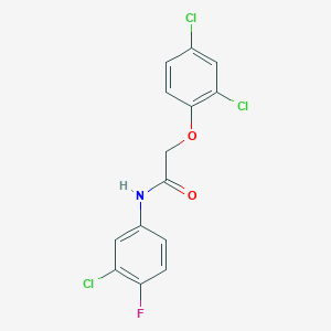 molecular formula C14H9Cl3FNO2 B403240 N-(3-chloro-4-fluorophenyl)-2-(2,4-dichlorophenoxy)acetamide 