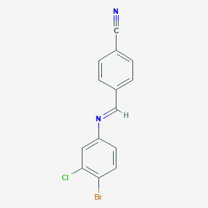 molecular formula C14H8BrClN2 B403267 4-{[(4-Bromo-3-chlorophenyl)imino]methyl}benzonitrile 