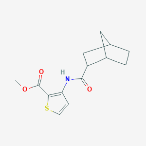 methyl 3-[(bicyclo[2.2.1]hept-2-ylcarbonyl)amino]-2-thiophenecarboxylate