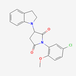 molecular formula C19H17ClN2O3 B4033291 1-(5-chloro-2-methoxyphenyl)-3-(2,3-dihydro-1H-indol-1-yl)pyrrolidine-2,5-dione 