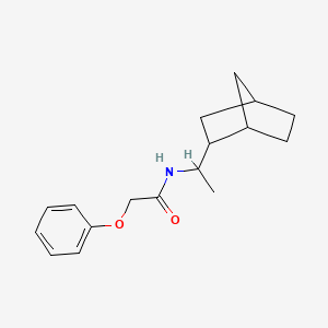 N-(1-{BICYCLO[2.2.1]HEPTAN-2-YL}ETHYL)-2-PHENOXYACETAMIDE