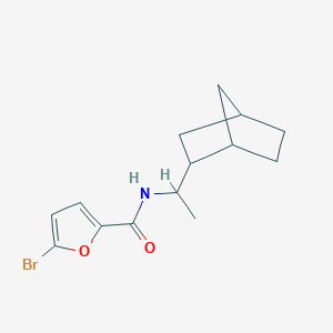 N-(1-{bicyclo[2.2.1]heptan-2-yl}ethyl)-5-bromofuran-2-carboxamide