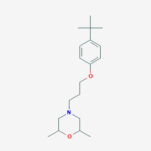 molecular formula C19H31NO2 B4039177 4-[3-(4-tert-butylphenoxy)propyl]-2,6-dimethylmorpholine 