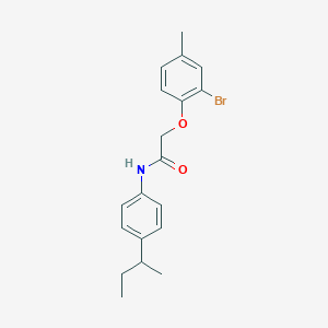 molecular formula C19H22BrNO2 B4040352 2-(2-溴-4-甲基苯氧基)-N-(4-仲丁基苯基)乙酰胺 