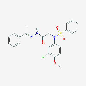 molecular formula C23H22ClN3O4S B404065 N-(3-chloro-4-methoxyphenyl)-N-{2-oxo-2-[2-(1-phenylethylidene)hydrazino]ethyl}benzenesulfonamide 