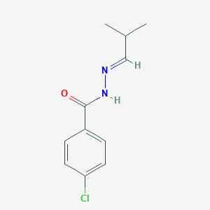 molecular formula C11H13ClN2O B404097 4-chloro-N'-(2-methylpropylidene)benzohydrazide 