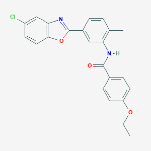 N-[5-(5-Chloro-benzooxazol-2-yl)-2-methyl-phenyl]-4-ethoxy-benzamide