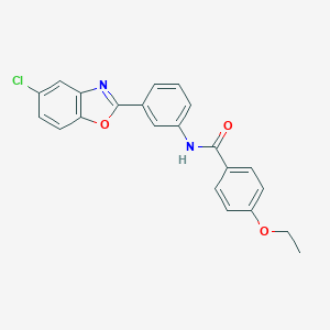 molecular formula C22H17ClN2O3 B404255 N-[3-(5-chloro-1,3-benzoxazol-2-yl)phenyl]-4-ethoxybenzamide 