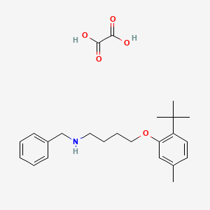 molecular formula C24H33NO5 B4042830 N-benzyl-4-(2-tert-butyl-5-methylphenoxy)butan-1-amine;oxalic acid 