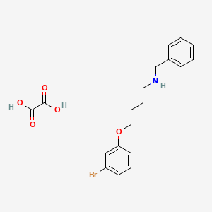 N-benzyl-4-(3-bromophenoxy)butan-1-amine;oxalic acid