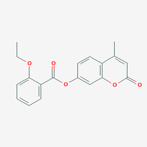 molecular formula C19H16O5 B404296 4-methyl-2-oxo-2H-chromen-7-yl 2-ethoxybenzoate 