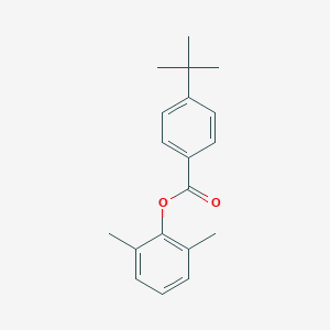 molecular formula C19H22O2 B404305 2,6-Dimethylphenyl 4-(1,1-dimethylethyl)benzoate 