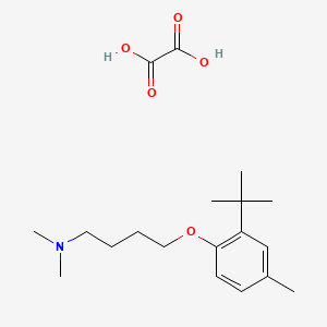 molecular formula C19H31NO5 B4043845 4-(2-tert-butyl-4-methylphenoxy)-N,N-dimethylbutan-1-amine;oxalic acid 