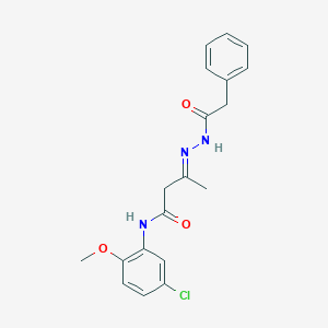 molecular formula C19H20ClN3O3 B404494 N-(5-chloro-2-methoxyphenyl)-3-[(phenylacetyl)hydrazono]butanamide 