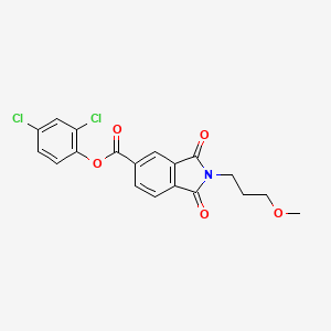 molecular formula C19H15Cl2NO5 B4045422 2,4-DICHLOROPHENYL 2-(3-METHOXYPROPYL)-1,3-DIOXOISOINDOLE-5-CARBOXYLATE 