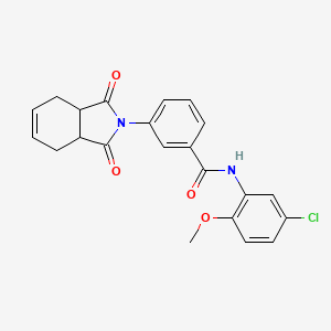 N-(5-chloro-2-methoxyphenyl)-3-(1,3-dioxo-1,3,3a,4,7,7a-hexahydro-2H-isoindol-2-yl)benzamide