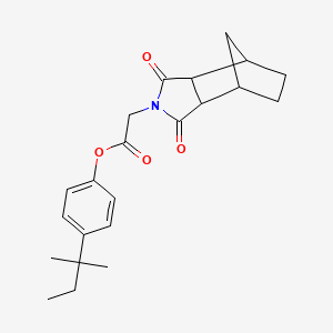 molecular formula C22H27NO4 B4049067 4-(2-methylbutan-2-yl)phenyl (1,3-dioxooctahydro-2H-4,7-methanoisoindol-2-yl)acetate 