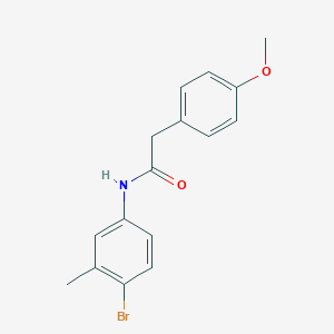 molecular formula C16H16BrNO2 B404931 N-(4-bromo-3-methylphenyl)-2-(4-methoxyphenyl)acetamide 