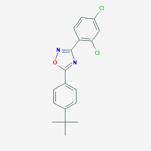 5-(4-Tert-butylphenyl)-3-(2,4-dichlorophenyl)-1,2,4-oxadiazole