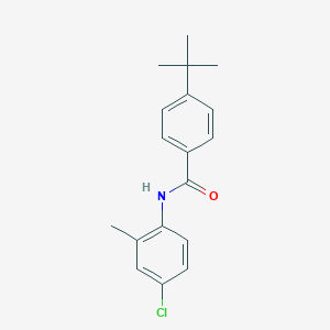 molecular formula C18H20ClNO B405161 4-tert-butyl-N-(4-chloro-2-methylphenyl)benzamide 