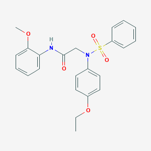 molecular formula C23H24N2O5S B405357 2-[N-(benzenesulfonyl)-4-ethoxyanilino]-N-(2-methoxyphenyl)acetamide 