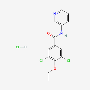 3,5-dichloro-4-ethoxy-N-3-pyridinylbenzamide hydrochloride