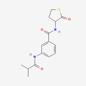 3-[(2-methylpropanoyl)amino]-N-(2-oxotetrahydrothiophen-3-yl)benzamide