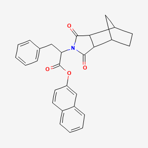 molecular formula C28H25NO4 B4055824 2-naphthyl 2-(3,5-dioxo-4-azatricyclo[5.2.1.0~2,6~]dec-4-yl)-3-phenylpropanoate 