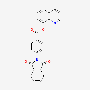 molecular formula C24H18N2O4 B4057310 8-quinolinyl 4-(1,3-dioxo-1,3,3a,4,7,7a-hexahydro-2H-isoindol-2-yl)benzoate 