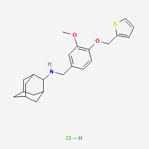 molecular formula C23H30ClNO2S B4060412 N-[3-methoxy-4-(2-thienylmethoxy)benzyl]-2-adamantanamine hydrochloride 