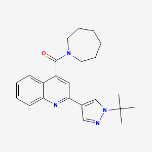 molecular formula C23H28N4O B4060543 4-(azepan-1-ylcarbonyl)-2-(1-tert-butyl-1H-pyrazol-4-yl)quinoline 