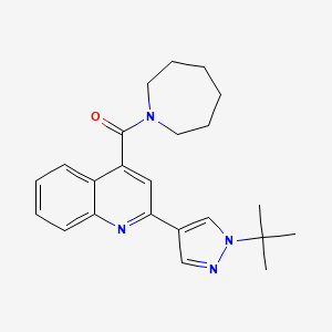 molecular formula C23H28N4O B4060543 4-(氮杂环戊-1-基羰基)-2-(1-叔丁基-1H-吡唑-4-基)喹啉 