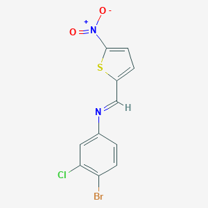 molecular formula C11H6BrClN2O2S B406111 4-bromo-3-chloro-N-[(5-nitro-2-thienyl)methylene]aniline 