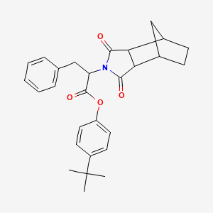 molecular formula C28H31NO4 B4061903 4-tert-butylphenyl 2-(3,5-dioxo-4-azatricyclo[5.2.1.0~2,6~]dec-4-yl)-3-phenylpropanoate 