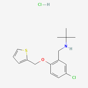 molecular formula C16H21Cl2NOS B4063110 N-[5-chloro-2-(2-thienylmethoxy)benzyl]-2-methyl-2-propanamine hydrochloride 
