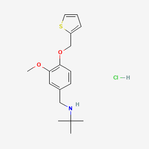 N-[3-methoxy-4-(2-thienylmethoxy)benzyl]-2-methyl-2-propanamine hydrochloride