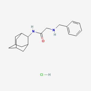 molecular formula C19H27ClN2O B4064072 N~1~-2-金刚烷基-N~2~-苄基甘氨酰胺盐酸盐 