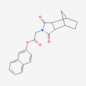 molecular formula C21H19NO4 B4064382 2-naphthyl (3,5-dioxo-4-azatricyclo[5.2.1.0~2,6~]dec-4-yl)acetate 