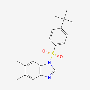 molecular formula C19H22N2O2S B4064824 1-[(4-叔丁基苯基)磺酰基]-5,6-二甲基-1H-苯并咪唑 