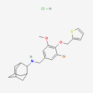 molecular formula C23H29BrClNO2S B4064952 盐酸N-[3-溴-5-甲氧基-4-(2-噻吩基甲氧基)苄基]-2-金刚烷胺 