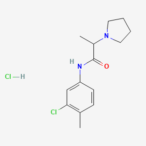 molecular formula C14H20Cl2N2O B4065026 盐酸N-(3-氯-4-甲基苯基)-2-(1-吡咯烷基)丙酰胺 