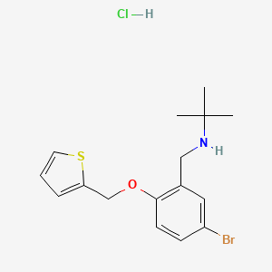 molecular formula C16H21BrClNOS B4065575 盐酸 N-[5-溴-2-(2-噻吩基甲氧基)苄基]-2-甲基-2-丙胺 