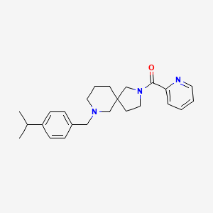 molecular formula C24H31N3O B4066465 7-(4-异丙基苄基)-2-(2-吡啶基羰基)-2,7-二氮杂螺[4.5]癸烷 