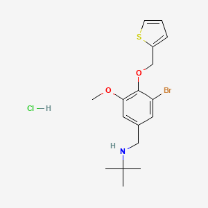 molecular formula C17H23BrClNO2S B4066773 N-[3-bromo-5-methoxy-4-(2-thienylmethoxy)benzyl]-2-methyl-2-propanamine hydrochloride 